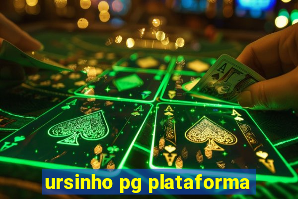 ursinho pg plataforma